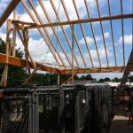 town n country kennel