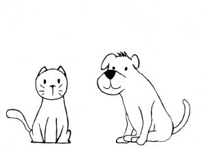 pet portrait content
