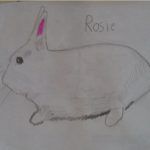 rosie
