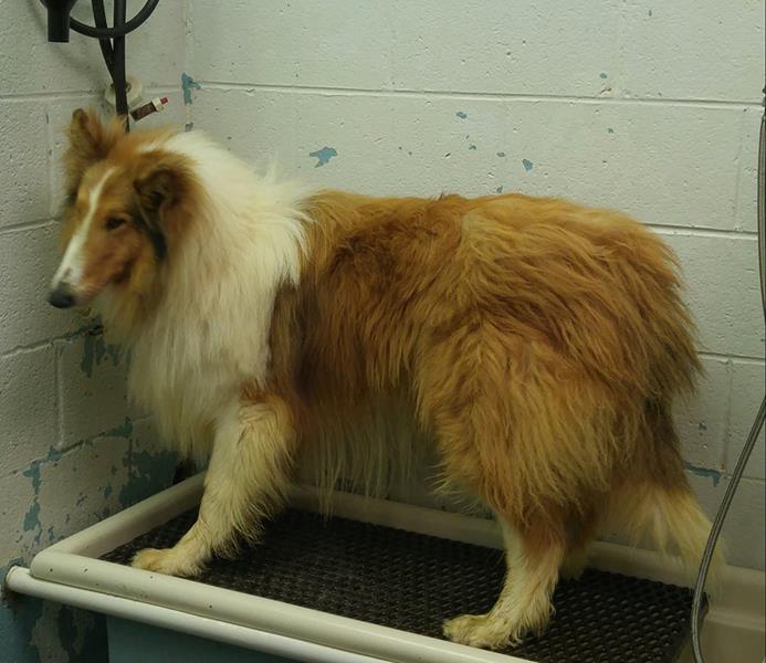CharlieBefore