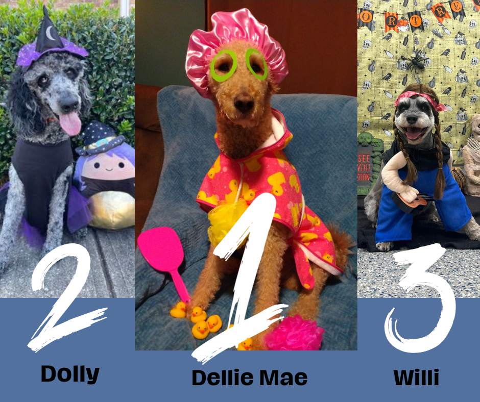 costume contest winners