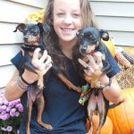 Girl with two dogs