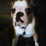 Jax