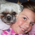 Lilah -Shih-Tzu & her Sister & Best Friend Peyton