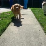Sandy and Mason
