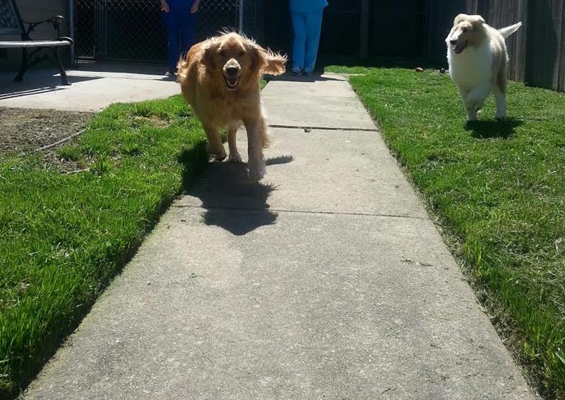 Sandy and Mason