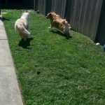 Sandy and Mason summer camp
