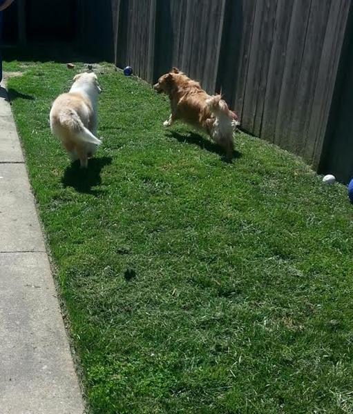 Sandy and Mason summer camp