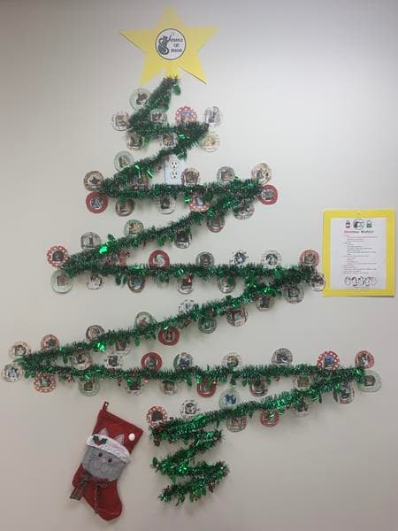 Sparkle cat rescue christmas tree