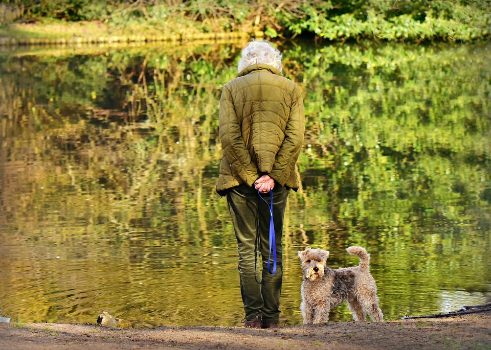 adult children bringing home pets