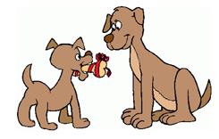 bark for life dogs