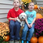 boys with dog