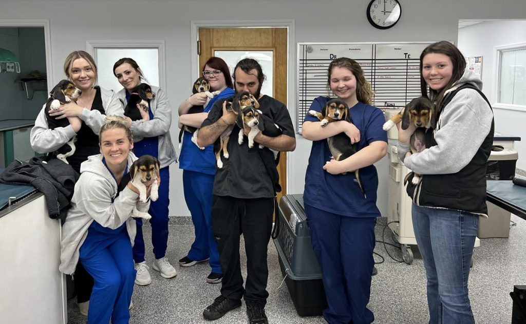 daycare staff