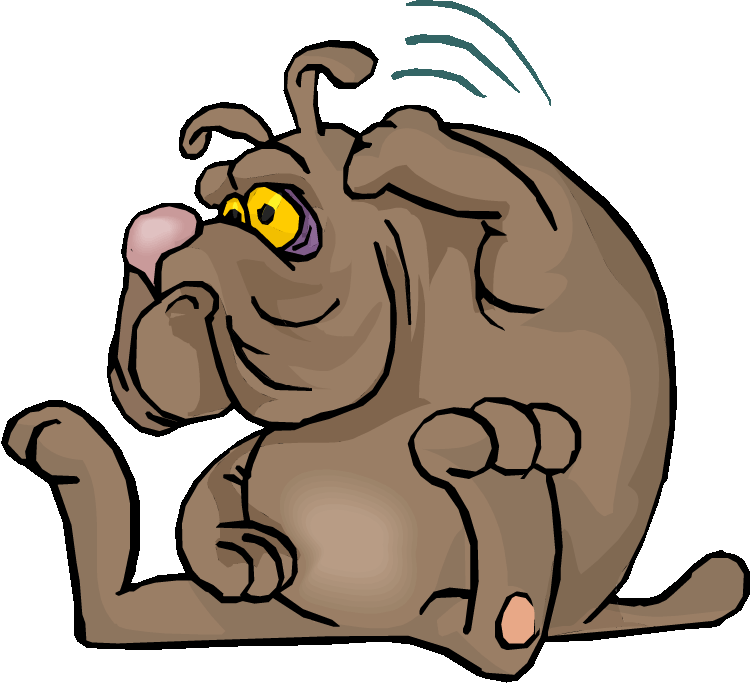 dog scratching fleas
