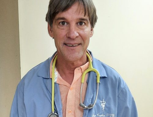 Introducing Dr. Corbin!