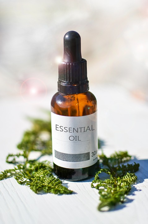 essential oils and cats