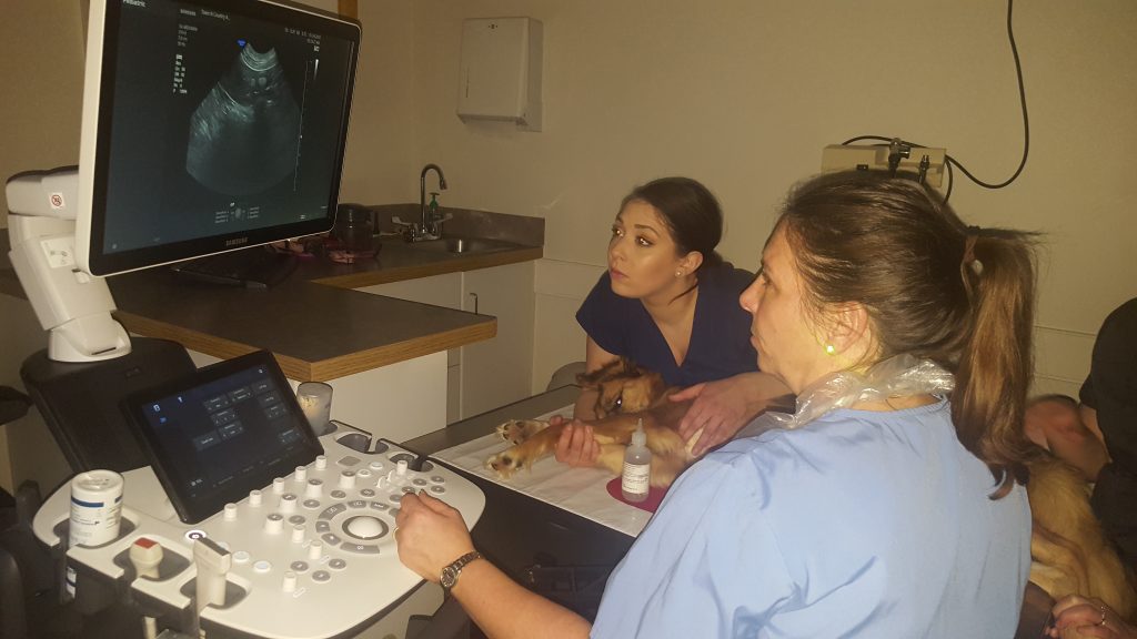 examining ultrasound
