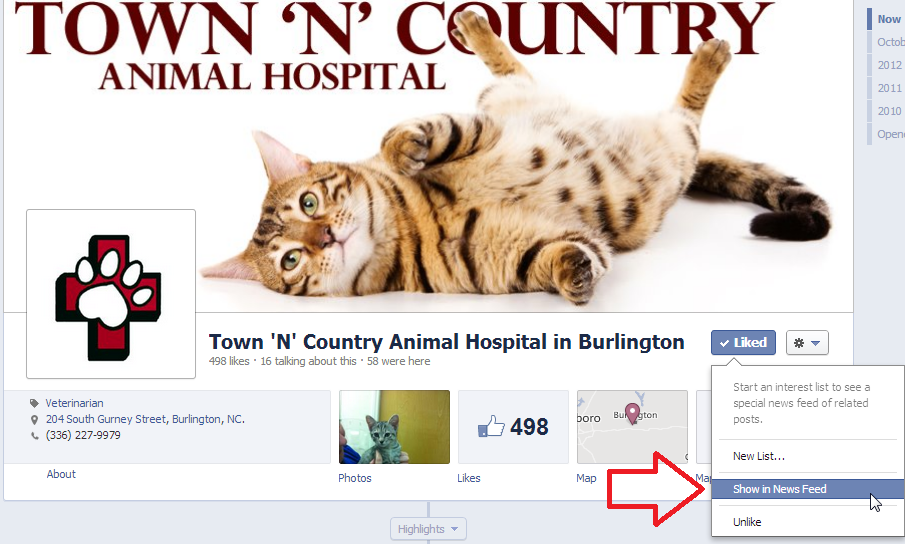facebook show in newsfeed