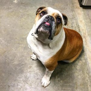 gus-beechwood-metalworks