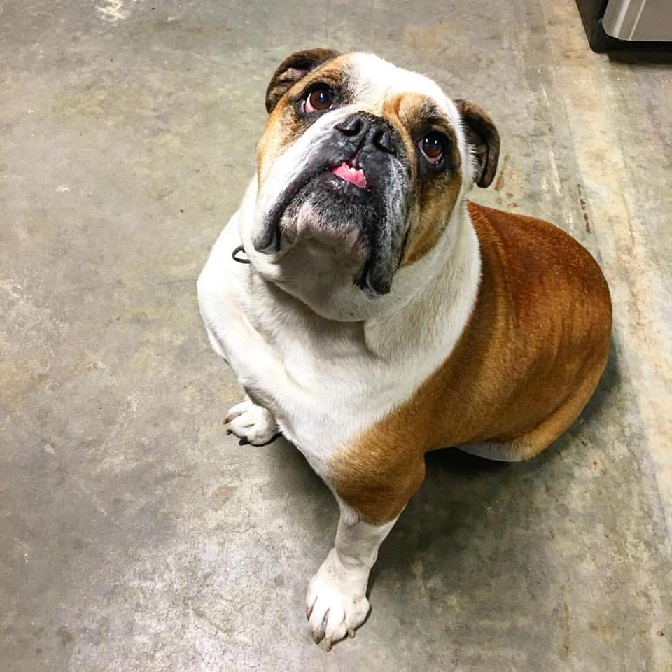 gus-beechwood-metalworks