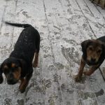 jack and jill