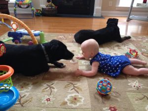 child and dog
