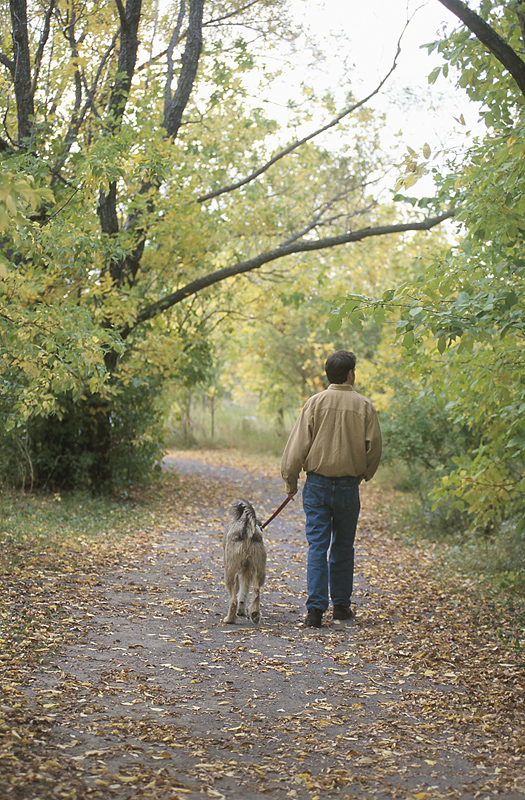 alternative medical services for pets