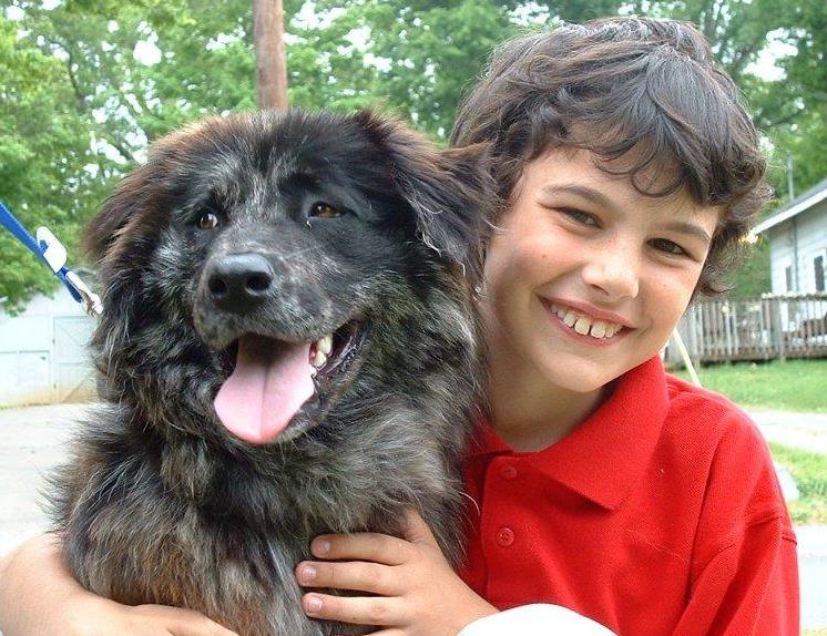 rescue dog rescue dog