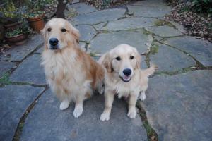/wp-content/uploads/2014/11/rubgy-and-gov.jpg