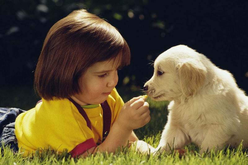 new baby and pet